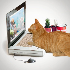 CAT SCRATCH LAPTOP