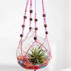 Birthday Confetti Hanging Terrarium